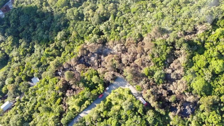 Incêndio florestal atinge área de Mata Atlântica na Interpraias, em Balneário Camboriú