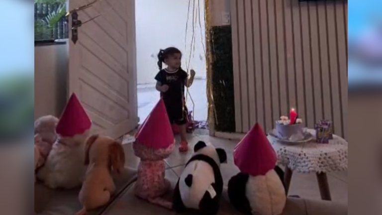 Família coloca ursinhos como convidados em aniversário de menina de 2 anos em SC