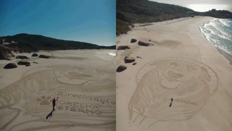 Artista homenageia Orelha nas areias de praia em Florianópolis