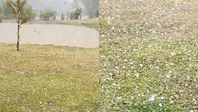 Temporal com granizo deixa rastro de destruição em propriedades rurais em SC