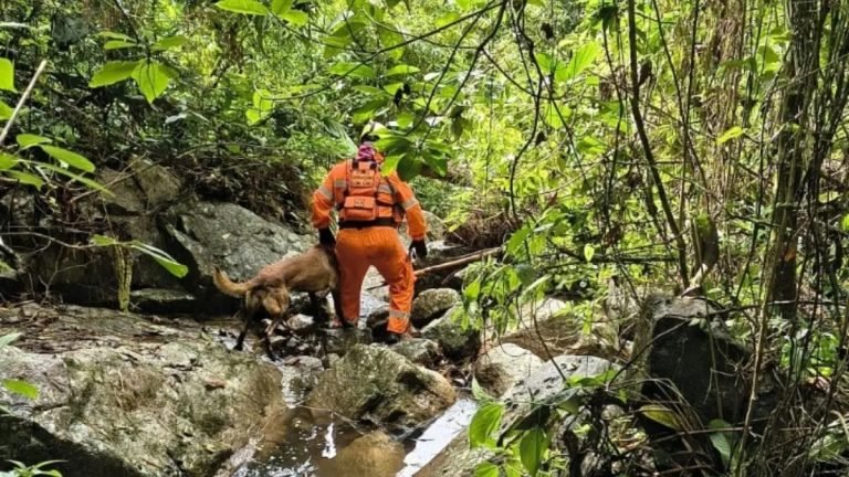Homem desaparecido no Carnaval é encontrado morto em riacho próximo de casa