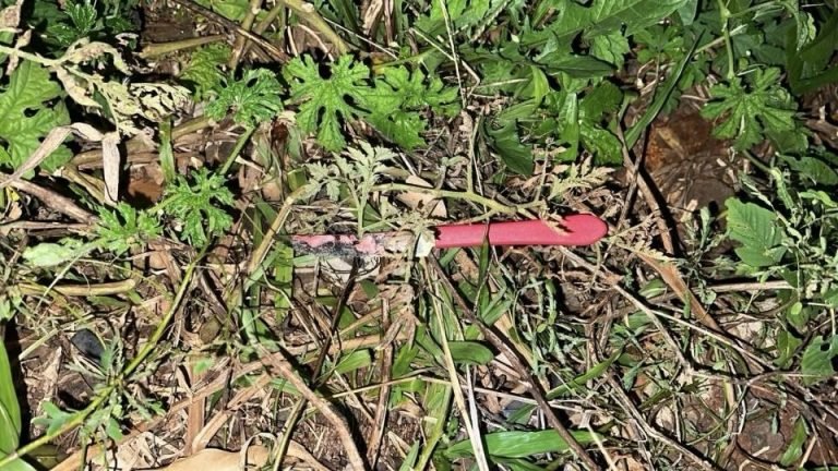 Visita para anunciar morte termina em tentativa de assassinato dentro de casa