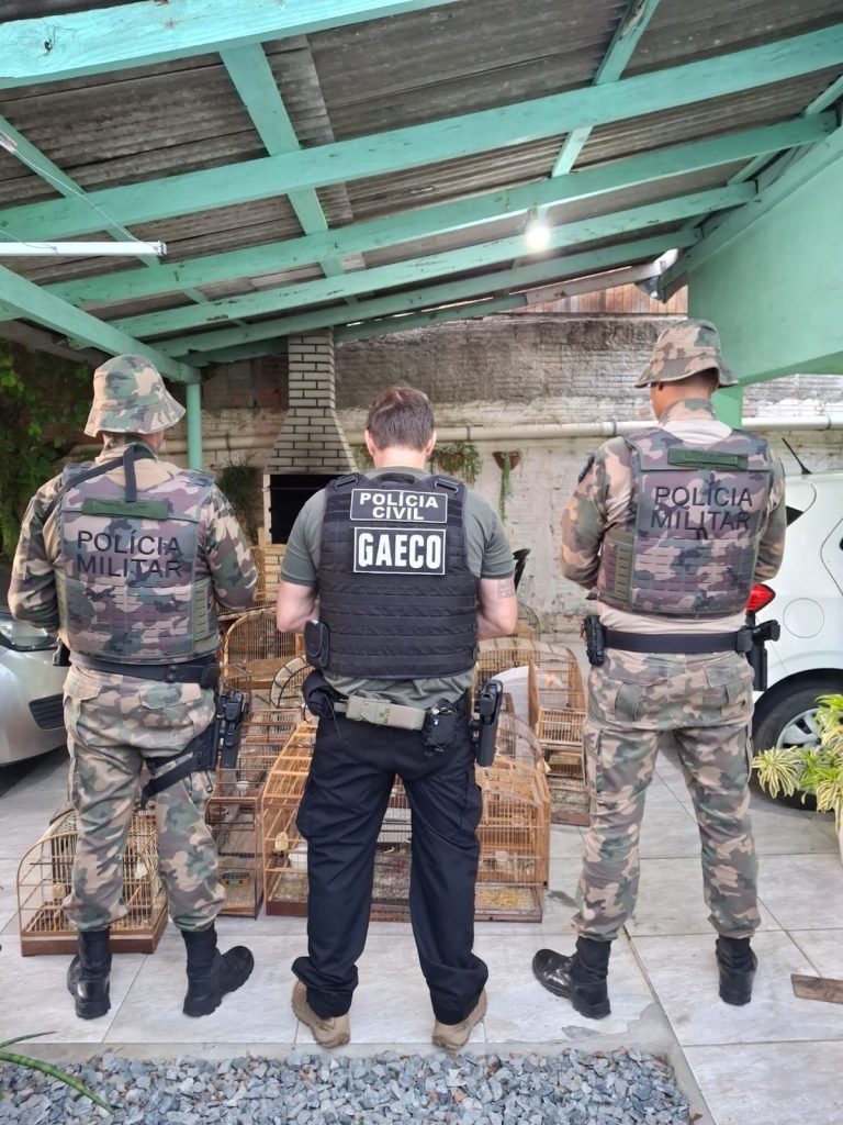 Joinville e Balneário Camboriú estão entre cidades alvo de operação contra organização criminosa