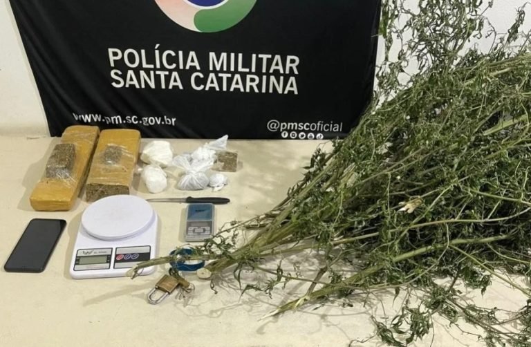 ‘Viu a viatura e correu’: homem que plantava maconha na frente de casa é preso em SC