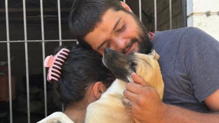 ‘Chamaram o nome e ele saiu correndo’: cachorro desaparecido há 4 meses é reencontrado em mutirão em SC