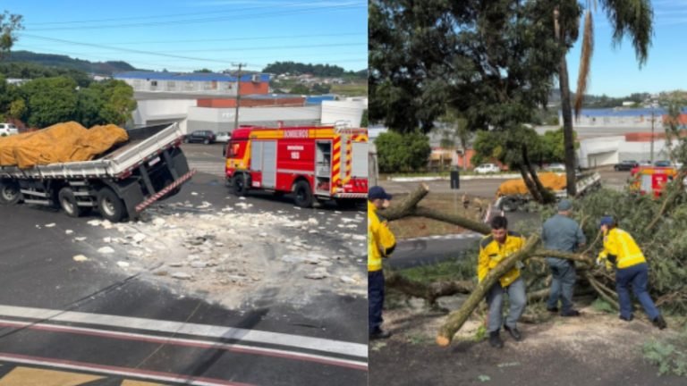 Caminhão não consegue subir morro, desce de ré e bate em árvore em São Lourenço do Oeste