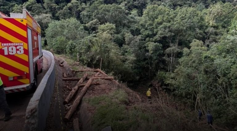 ‘Até cães de busca foram acionados’: motorista sobrevive após carreta cair em ribanceira de 50 metros em SC
