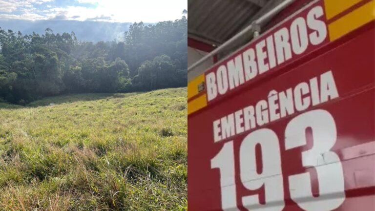 ‘Desespero no campo’: trabalhador se joga de trator sem freio e é atropelado pelo próprio maquinário em SC