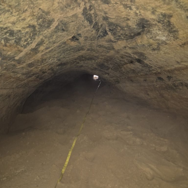 Tatu gigante pré-histórico deixou túnel de quase 26 metros enterrado no Sul de SC