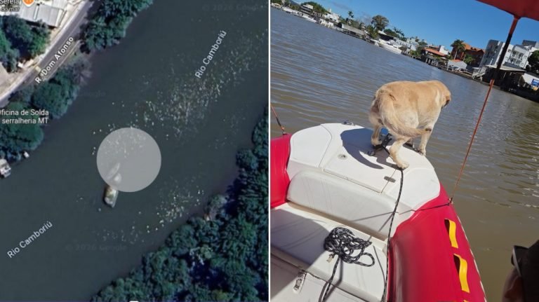 Cão fareja e bombeiros encontram corpo de homem desaparecido há dois dias no Rio Camboriú